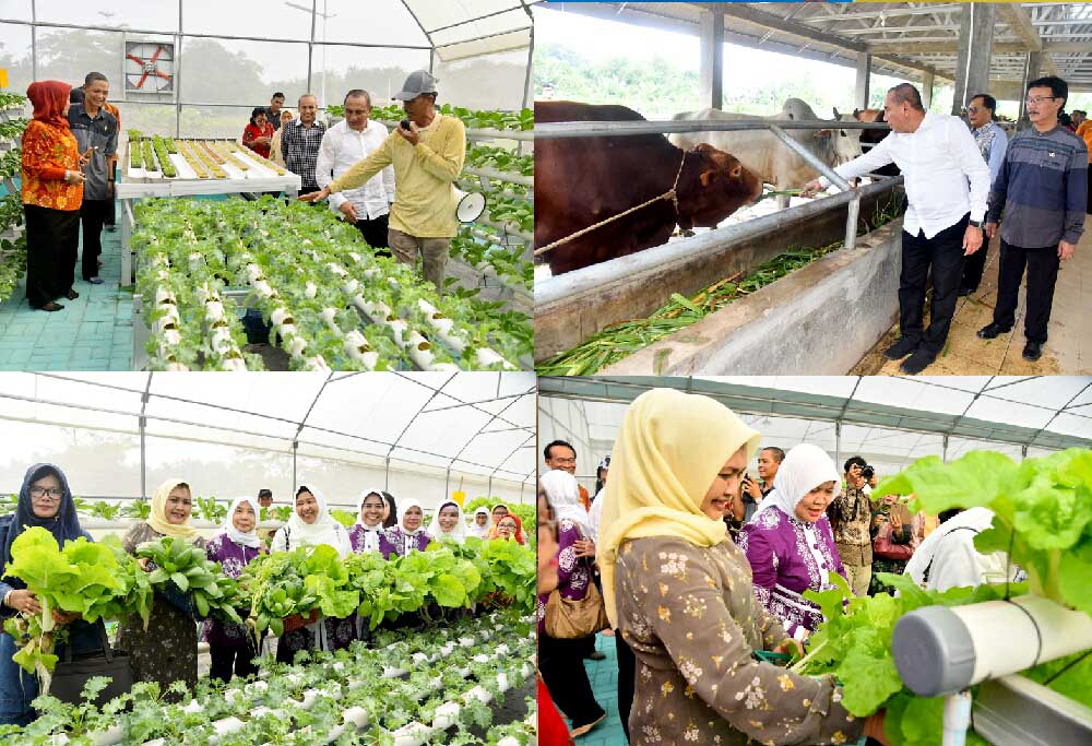 Kembangkan Taman Edukasi Cakra,  Edy Rahmayadi Harapkan  Beri Inspirasi dan Wawasan Pertanian  Â 