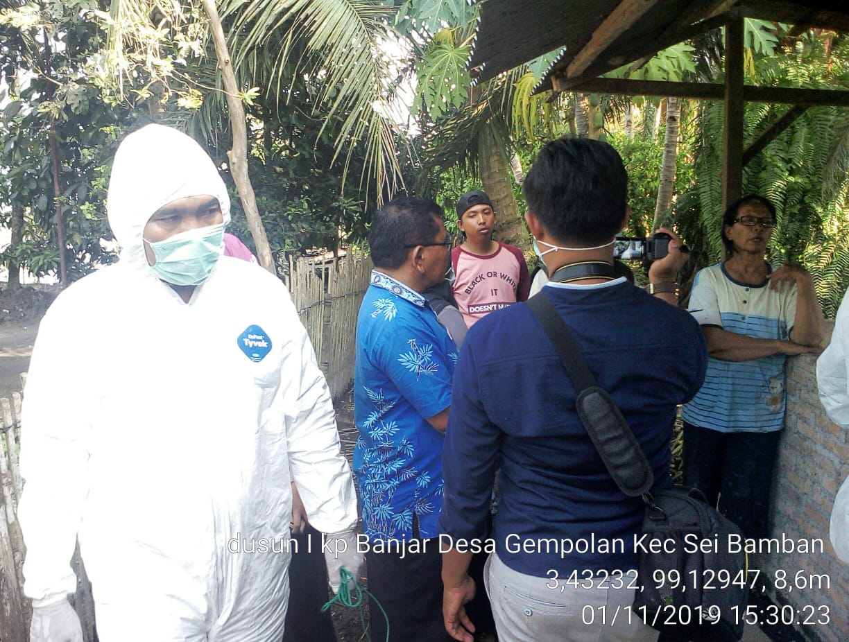 Atasi Penyebaran Virus Hog Cholera, Pemkab Sergai Tindak Cepat Pencegahan