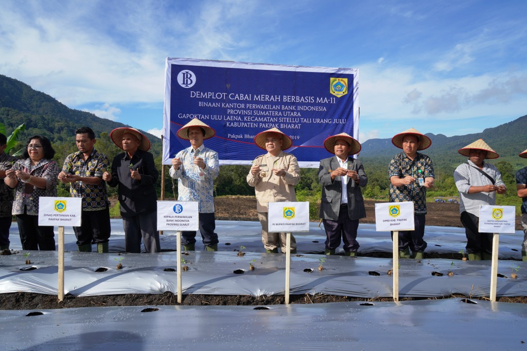 Wiwiek: BI Dampingi Petani Tanam Cabai Merah di Pakpak Bharat