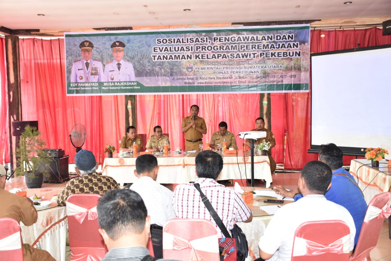Dinas Perkebunan Provsu Sosialisasikan Pengawalan dan Evaluasi Program Peremajaan Kelapa Sawit