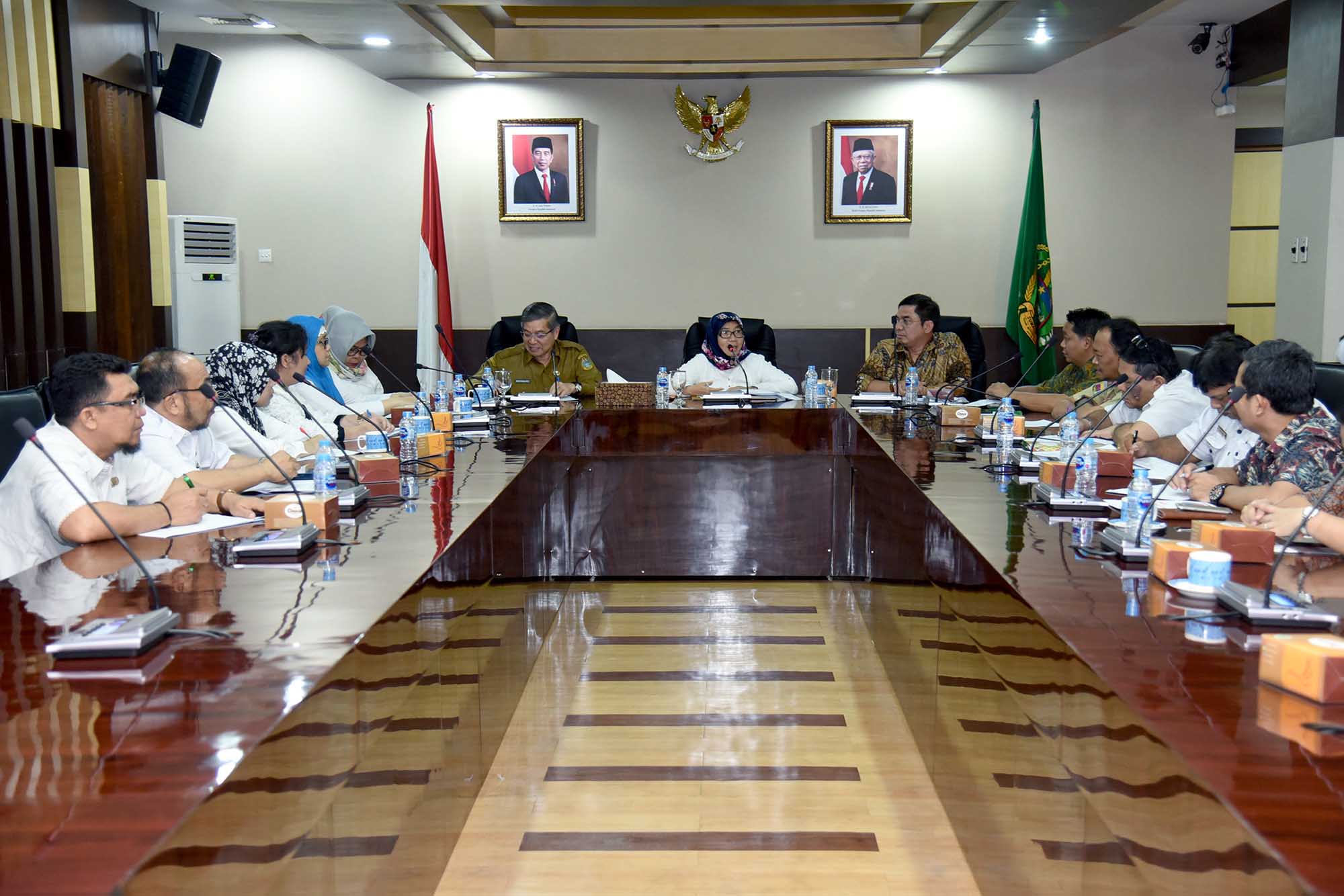 Evaluasi Isu Strategis Kesehatan di Sumut,  Sabrina Paparkan Tentang Kesehatan Ibu dan Anak