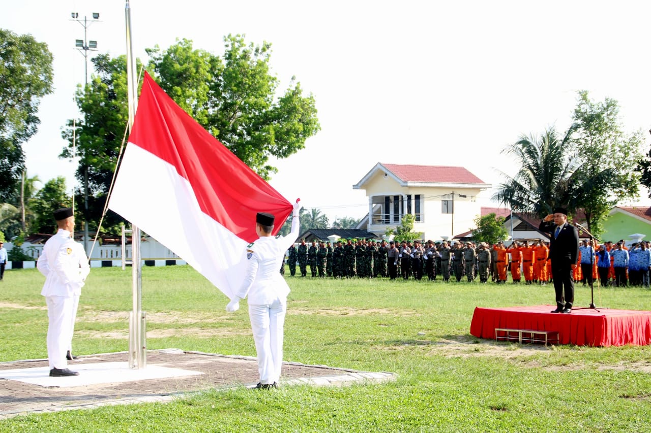 Bupati Labuhanbatu Sampaikan Amanat Mensos RI Pada Hari Pahlawan 10 November 2019