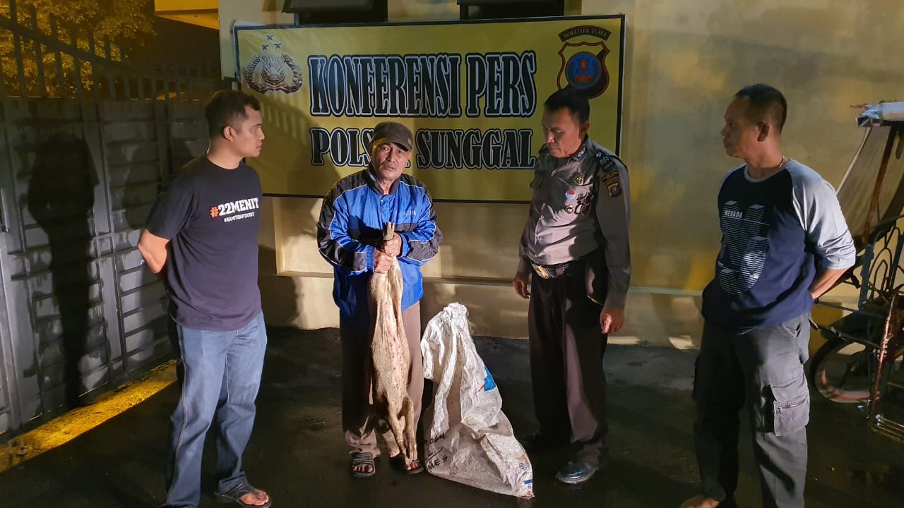 Pegasus Polsek Sunggal Amankan Pelaku Pembuang Bangakai Babi