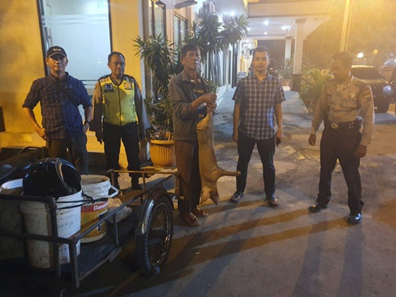 Pegasus Polsek Sunggal Amankan Terduga Pembuang Bangkai Babi