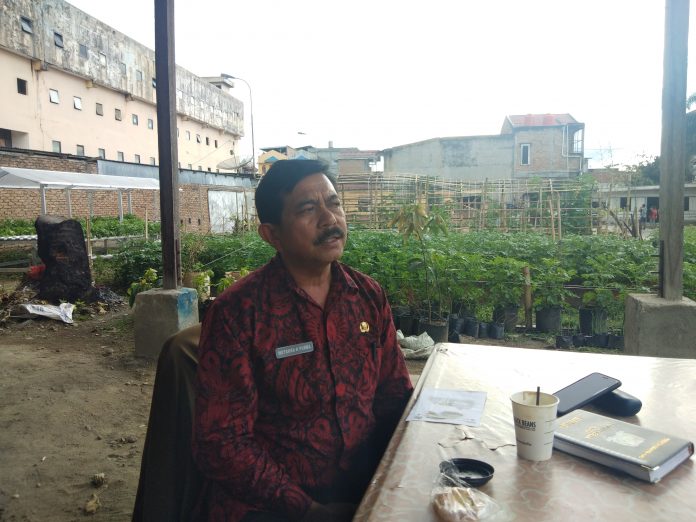 Virus Babi Mewabah di Karo Obat Pencegah Penyebaran virus Belum Ditemukan