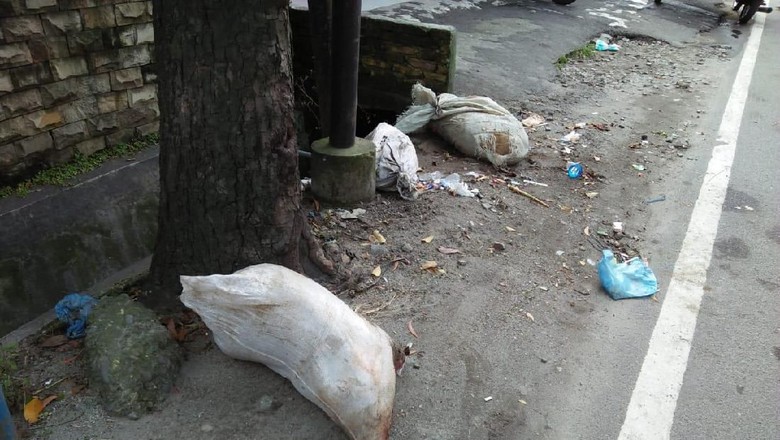 Setelah Sungai, Kini Bangkai Babi di Buang ke Jalan