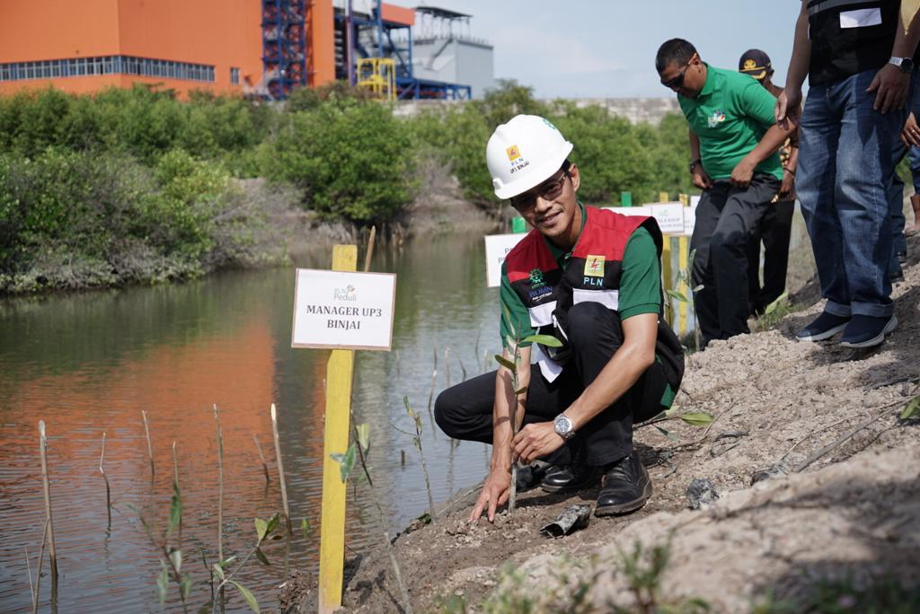 Peringati HMPI, PLN Sumut Tanam 1000 Pohon Bakau