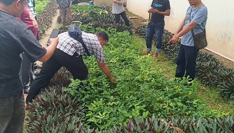 Paket Ganja Dilemparkan ke Dalam Lapas Sialambue, Polisi Buru Pemiliknya