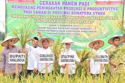 2019, Pemprov Sumut Berikan Bantuan Bibit Unggul untuk  Ribuan Hektare Padi, Jagung, dan Kedelai  Â 