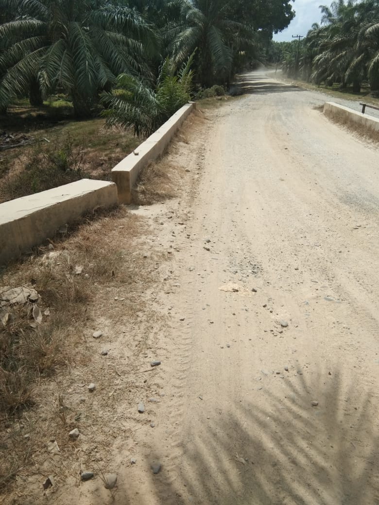 Abu Tebal Ancam Keselamatan Pengguna Jalan PTPN IV Sawit Langkat
