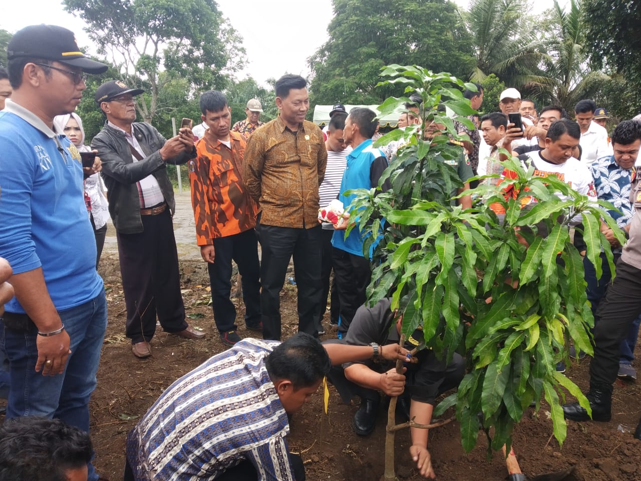 Gerakan Aksi Sejuta Pohon Se-dunia, Walikota Irsan Efendi Nasution Bersama Forkopimda Taman Pohon