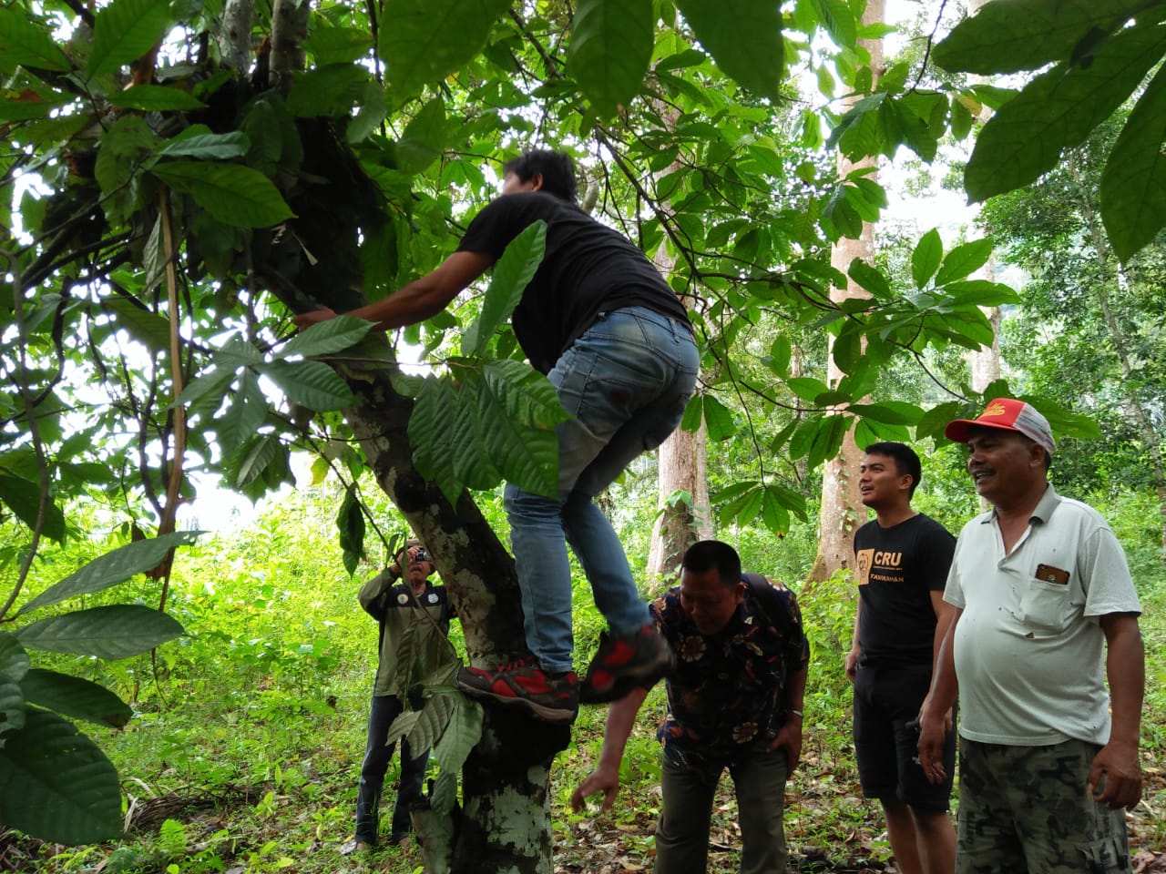 Beruang belah Durian warga, TNGL dan WCS Tinjau Lokasi
