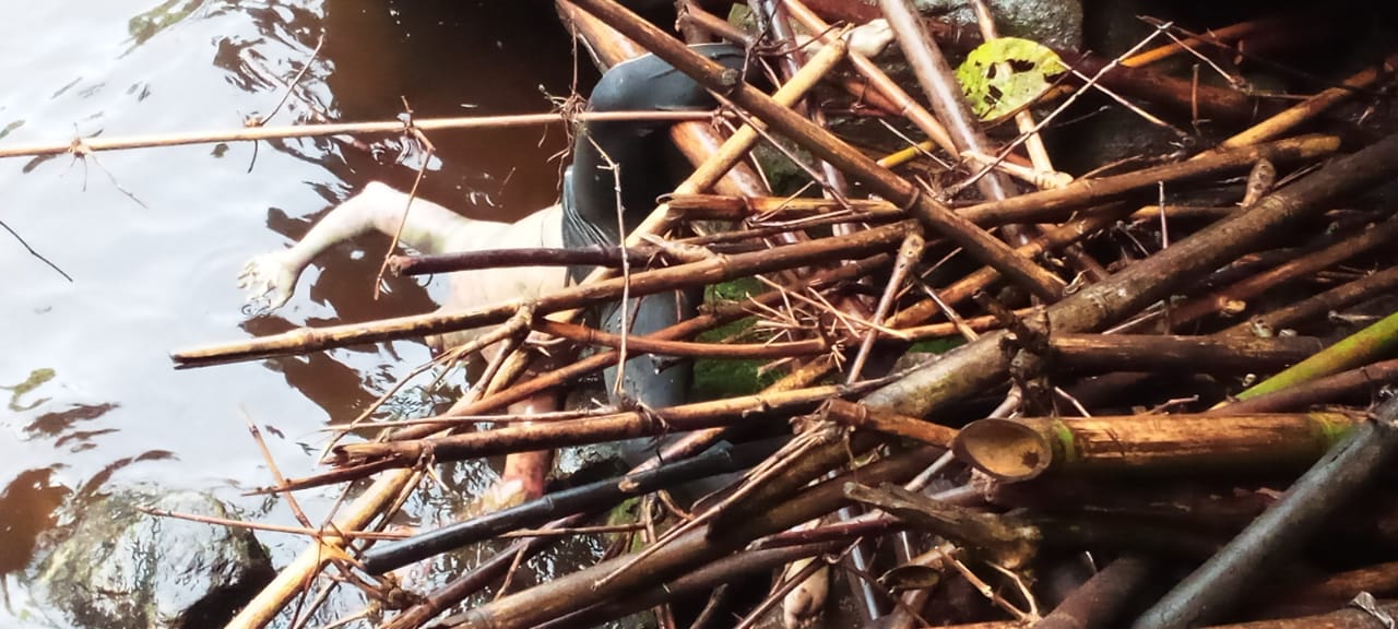 Budi Sinaga Hilang 6 Hari,Ditemukan Nyangkut Di Pinggir Sungai Lae Une