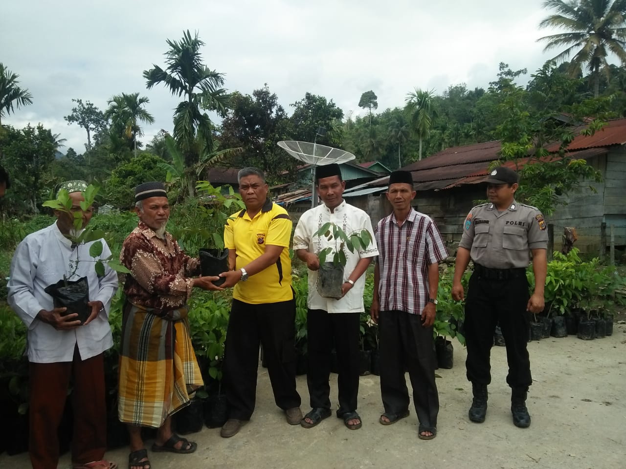 Durian Musang King Menjadi Proritas Pengulu Uning Pune