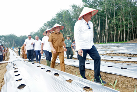 Tanam Perdana 4 Ha Cabai dan Bawang Merah,  Edy Rahmayadi Harapkan Bisa Atasi Inflasi