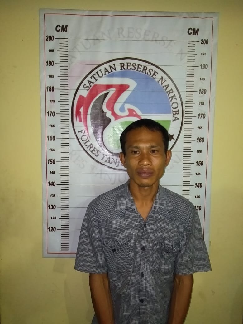 Miliki Daun Ganja, Kosim Diringkus Personil Satres Narkoba Polres Tanjungbalai