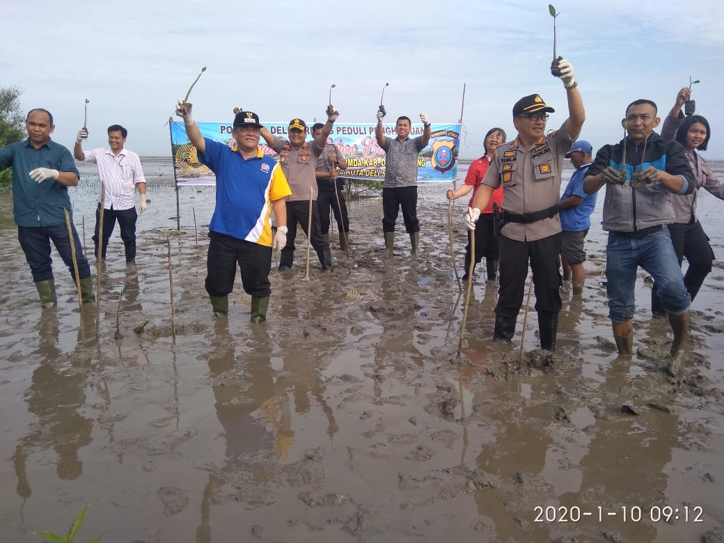 Kapolresta DS dan Forkompimda hijaukan bumi Pantai labu