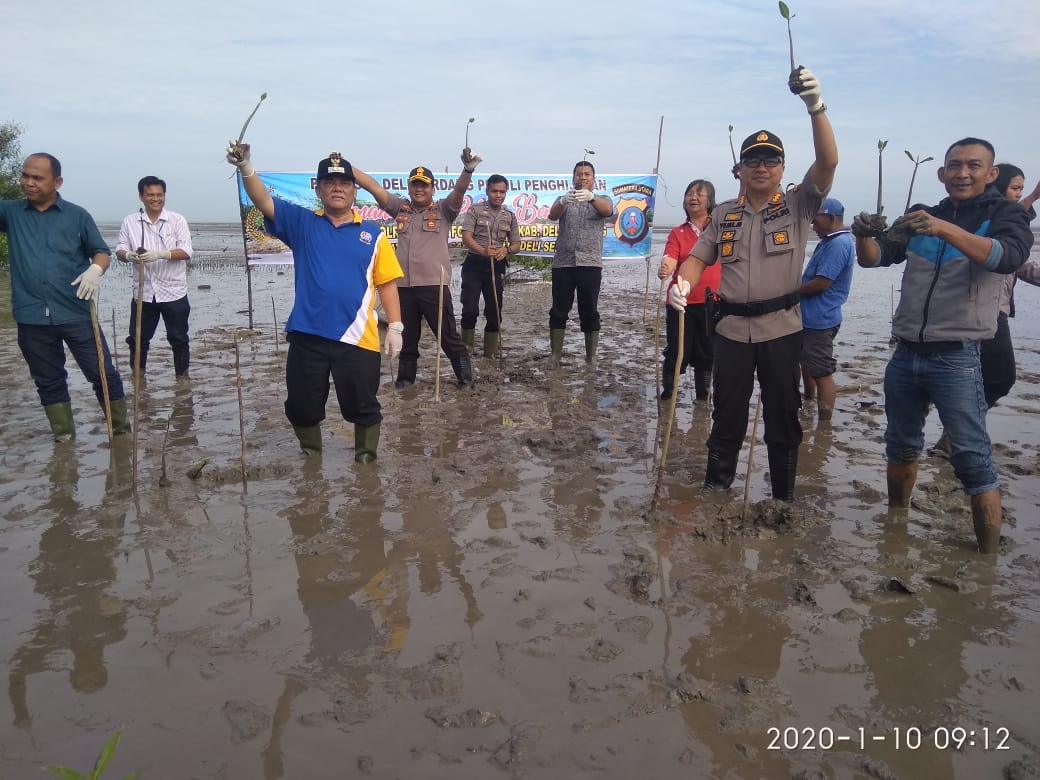 Kapolresta DS Dan Forkompinda Hijaukan Bumi Pantai Labu