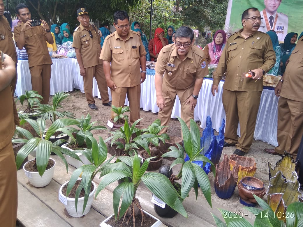 Produk Kelapa Bonsai Desa Pematang Biara Curi Perhatian Wakil Bupati DS.