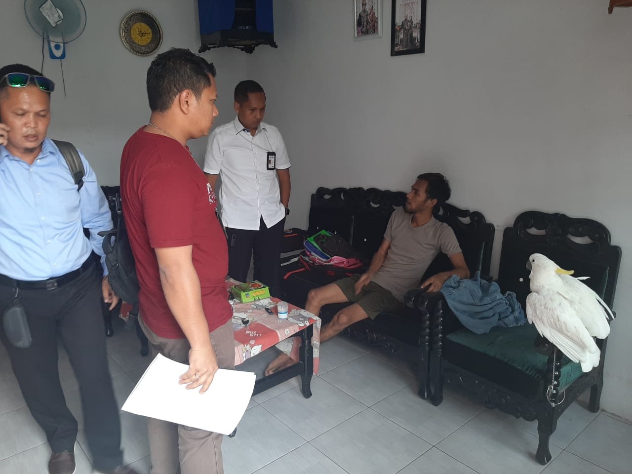 Polda Sumut Amankan 3 Pria Pemelihara dan Penjual Satwa Langka Dilindungi, Diamankan 4 Ekor Jenis Burung dan 1 Ekor Beruang Madu