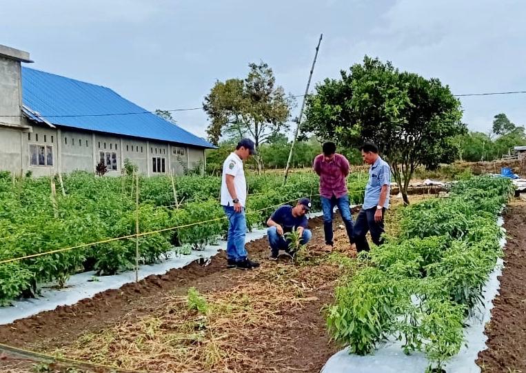 Demplot Kopi Karang Taruna Sumut Ciptakan Petani Milenial