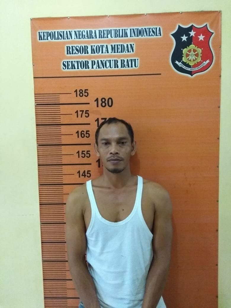 Pegasus Pancur Batu Ringkus Pengguna Ganja Pelaku Penganiayaan Keluarga