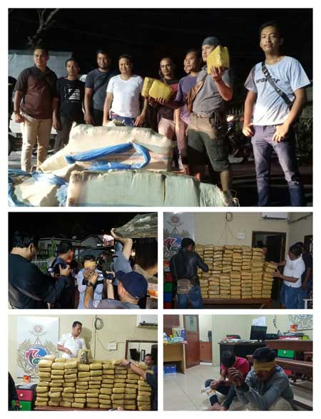 Timsus Polres Padangsidimpuan Ringkus 2 Kurir Narkotika, Ganja 250 Kg Siap Edar Diamankan