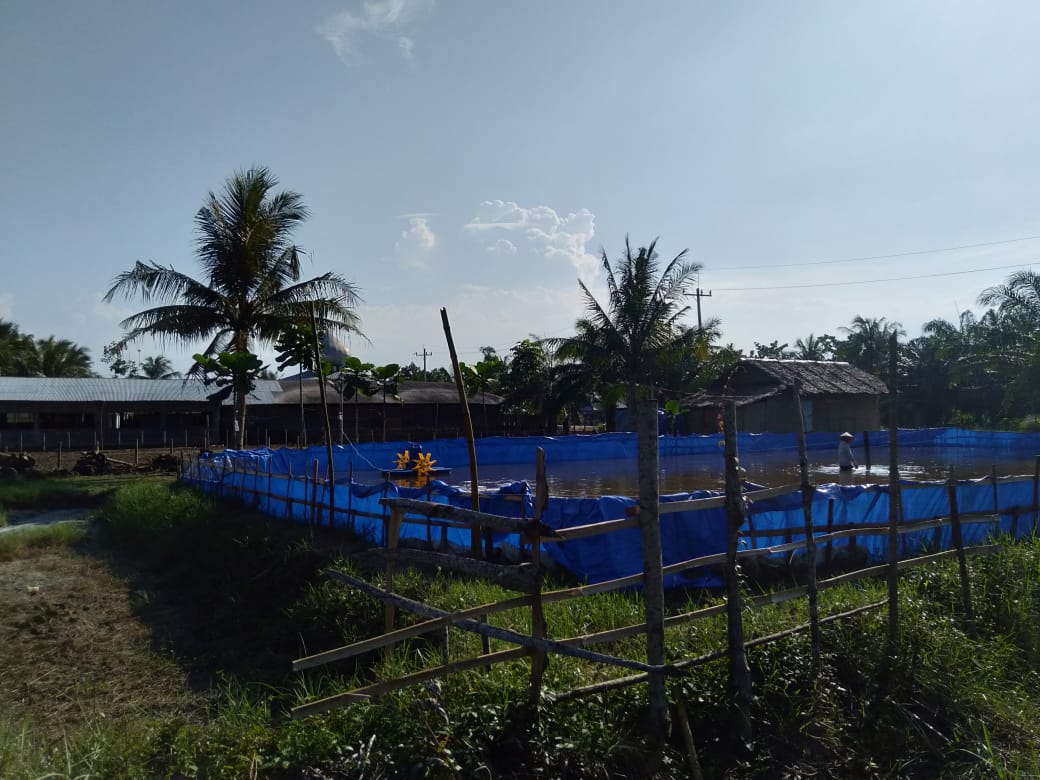 Kades TanjungÂ  Rejo diduga Serobot Aset PU