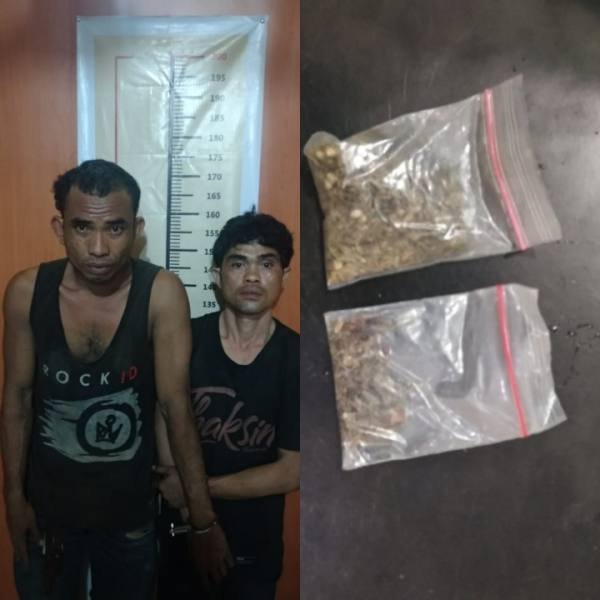 Konsumsi Daun Ganja Dua Pria Warga Tanjung Morawa Diamankan Polisi
