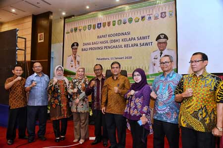 Rakor DBH Kelapa Sawit, Pemprov Sumut Usulkan Revisi UU 33/2004