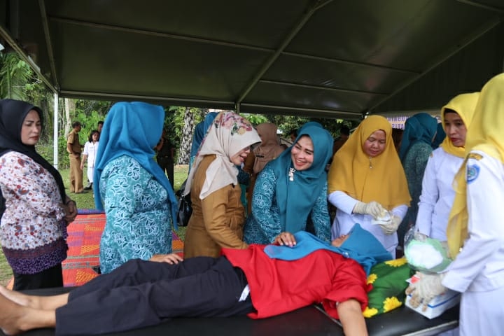 Ketua Tim Penggerak PKK Labuhanbatu Berikan Materi Penyuluhan Kesehatan Ibu, Bayi Dan Anak