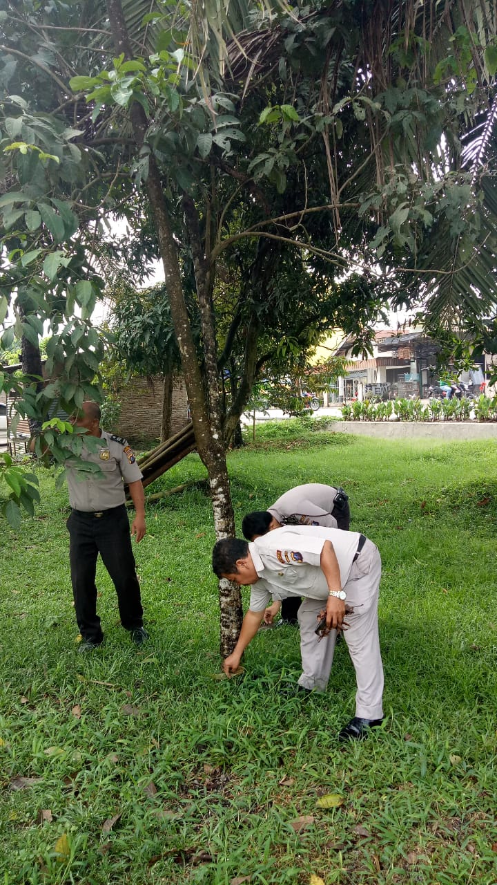 Polsek Pagar Merbau Adakan Penghijauan dan Perawatan Tanaman.