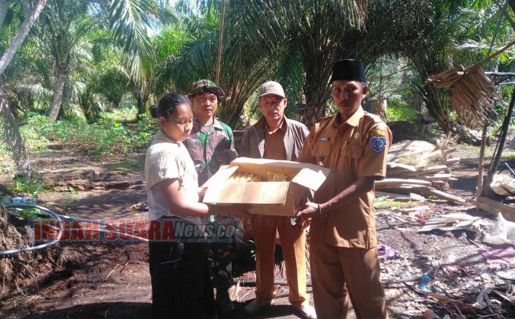 Camat Panai Hilir Tinjau Korban Kebakaran di Desa Sei Tawar