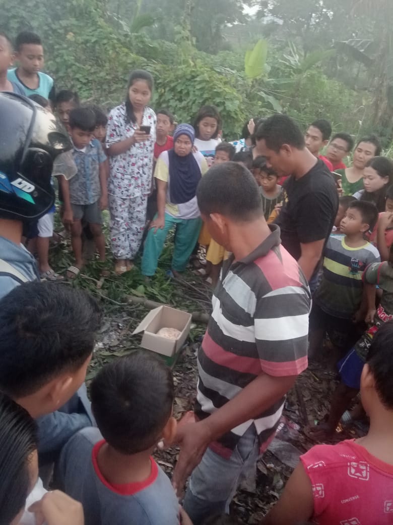 Orok Bayi Dalam Kardus Ditemukan Warga Dalam Tong Sampah