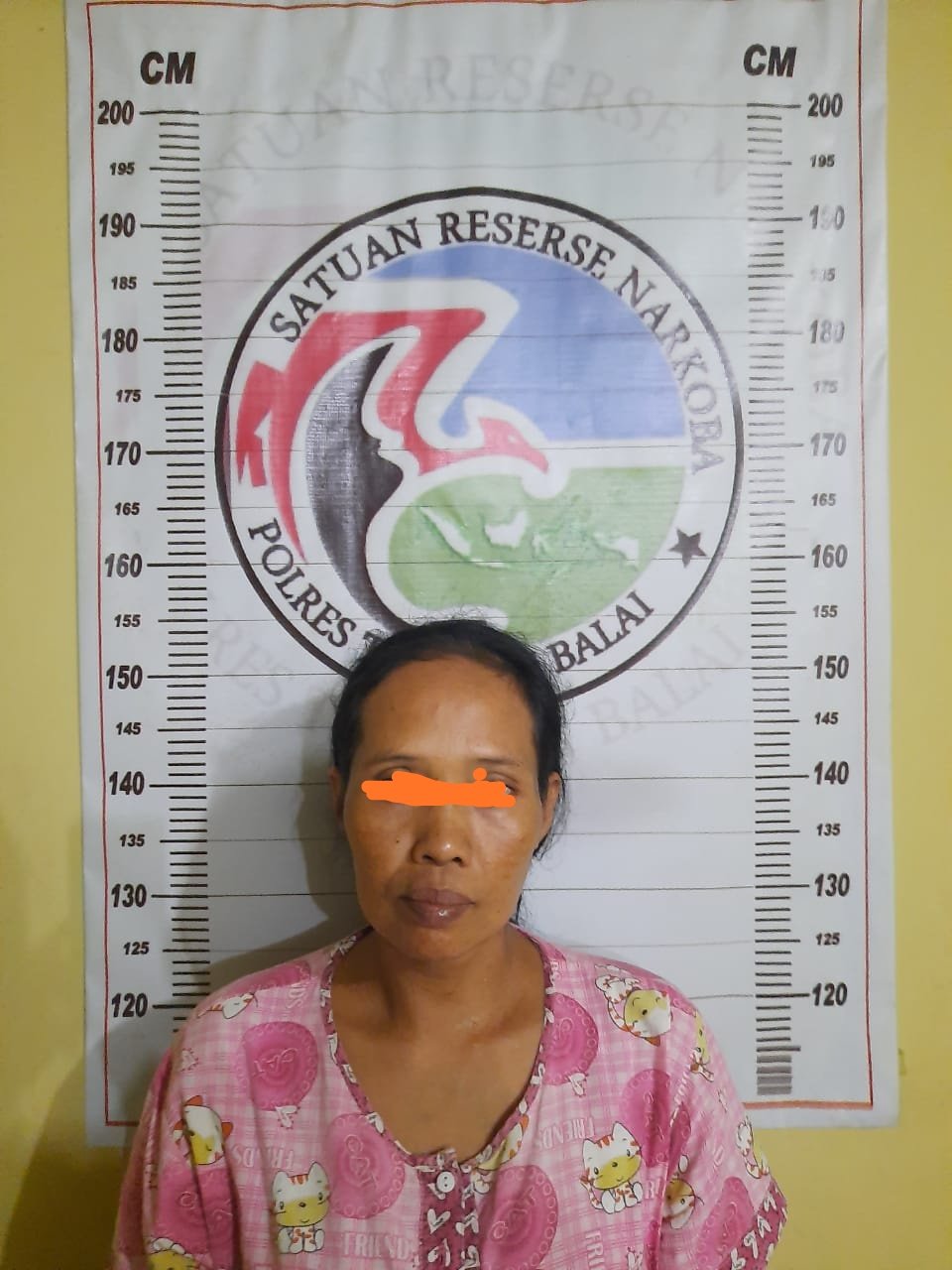 Terciduk Buang Shabu, Seorang IRT di Datuk Bandar Diamankan Polisi