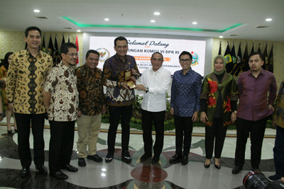 Edy Rahmayadi Sampaikan Persoalan Listrik, Gas dan Pupuk kepada Komisi VI DPR RI