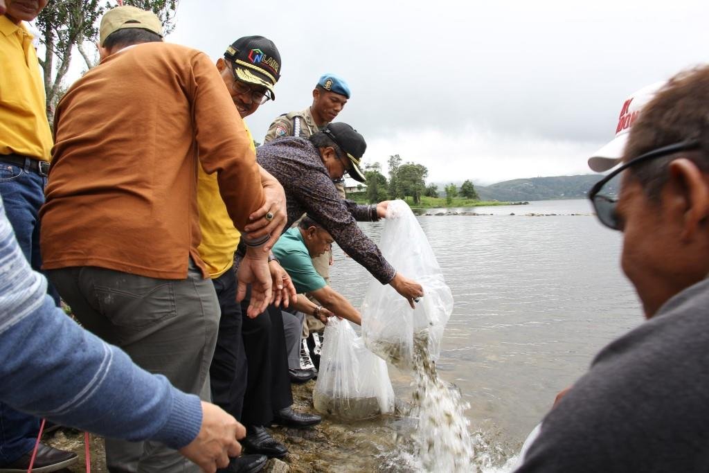 Bupati Solok lepas 5000 bibit ikan Nilem di DanauÂ 