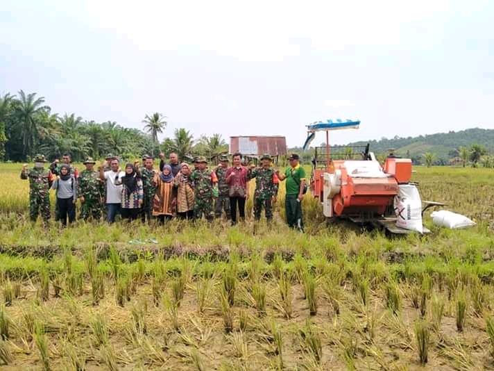 Distan Palas Dampingi Poktan Jaya Panen Raya