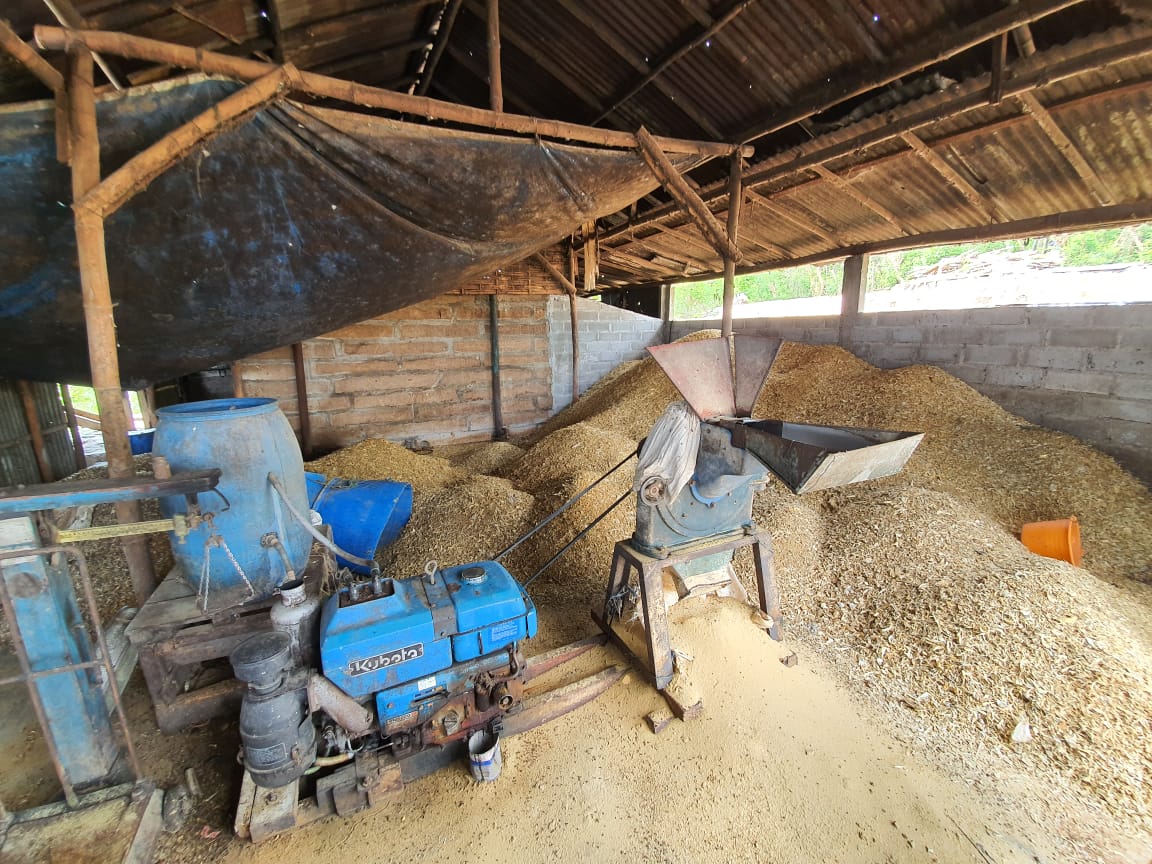 RSI Daur Ulang OSF Jadi Pakan Ternak di Kawasan Danau Toba
