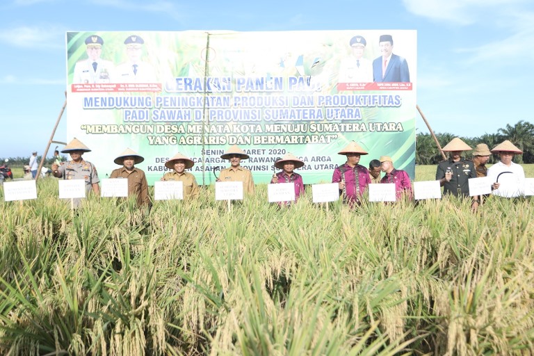 Gerakan Panen Padi Di Kecamatan Rawang Panca Arga Dihadiri Staf Ahli Gubsu