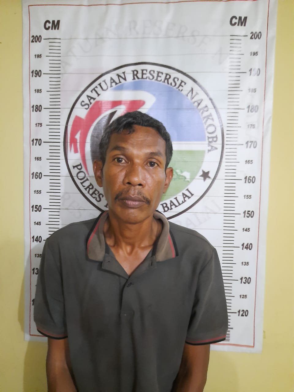 Nyanyian Irpan Bawa Sipanjang Diamankan Sat Res Narkoba Polres Tanjung Balai