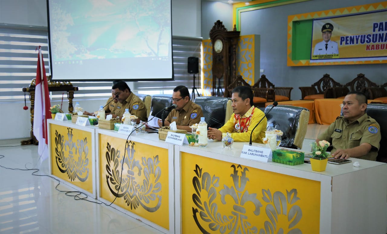 Pemkab Labuhanbatu Gelar Seminar Hasil Penyusunan Rencana Induk Kelitbangan