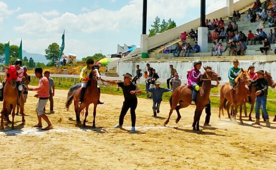 HUT Gayo Lues ke 18, Pemkab Gelar Pacuan Kuda Selama Dua Hari