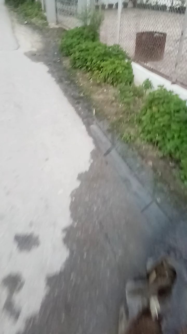 IPAL Aek Simatemate Balige Meluap Masuk ke Rumah Warga