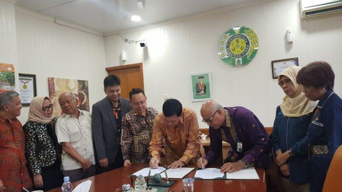 USU dan BPS Sumut Jalin Kemitraan