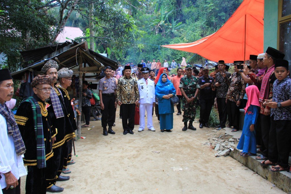 Wakil Bupati Solok hadiri Alek nagari Taruang taruang