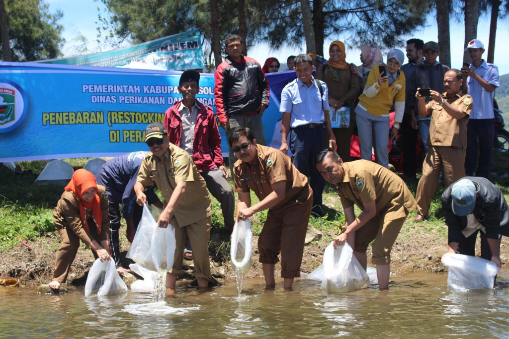 Pemkab Solok Lepas 350 ribu benih ikan token ke danau diatas