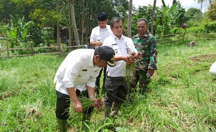 Bawang Merah Bima Brebes prioritas di Padangsidimpuan