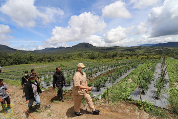 Pj. Bupati Pakpak Bharat Kunjungi Lahan GAPOKTAN di Desa Ulumerah