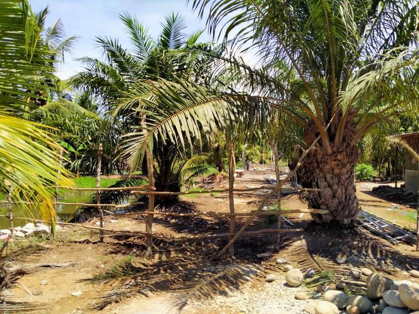 Pengerjaan Pembangunan Tower Diprotes, Warga Tutup Akses Jalan Masuk ke Tower Menggunakan Kayu